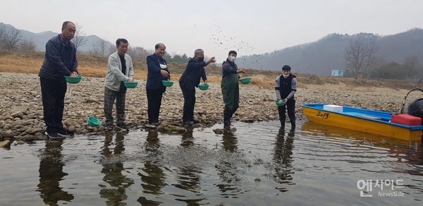 지난 11월 18일 홍천강 수역에 다슬기 종자 200만여 마리를 방류하고 있다.