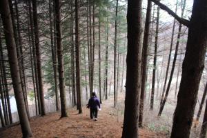 “숲체험도 언택트” 횡성숲체원, 비대면 프로그램 강화
