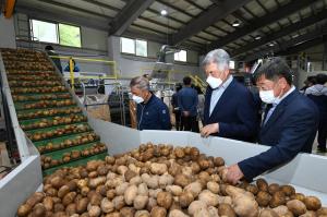 임계농협, 감자 선별기 도입 농가소득 증대 앞장