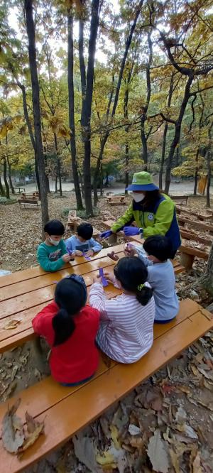 수원국유림관리소, 숲해설·유아숲교육 프로그램 운영