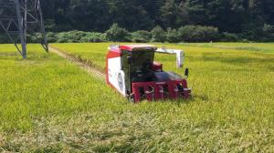 영주시, ‘벼 재배면적 감축 협약’ 신청 접수…쌀 수급 과잉 해소