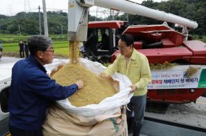 영주 ‘8∙15광복쌀’ 재배단지 첫 벼베기
