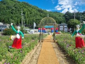 과꽃과 함께하는 농악의 향연! 평창군, 3년 만에 두 번째 평창농악축제 개최