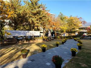 국화 향기에 물든 박경리문학공원, 가을 국화전 개최