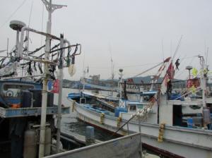 강원도, 유가 상승에 따른 어업용 면세유 추가 긴급 지원