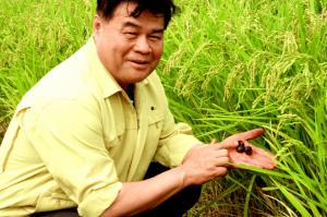 동해시, 우렁이 공급“친환경쌀 품질 높인다”