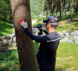 북부청, 소나무재선충병 조기 발견을 위한 검경실 가동