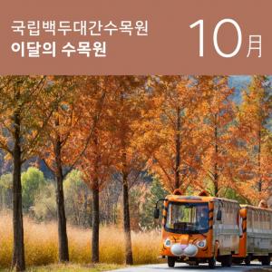 국립백두대간수목원 &apos;이달의 수목원 10월&apos; 공개
