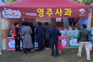 소백산 맑은 기운 담은 ‘영주사과’, 서울시청 광장에 ‘등판’