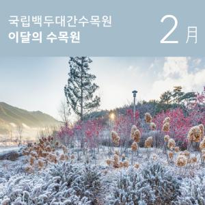 한국수목원정원관리원 &apos;국립백두대간수목원 이달의 수목원 대표식물&apos; 발표